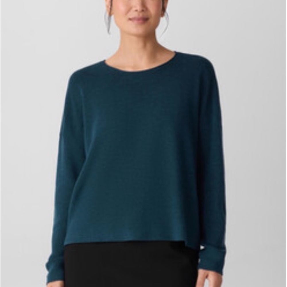 Eileen Fisher Merino Crewneck top in regenerative wool, Medium, Alpine, NWOT